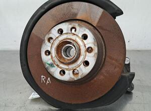 Stub Axle AUDI Q3 (8UB, 8UG)