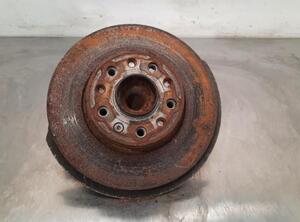 Stub Axle FIAT 500X (334_), FIAT QUBO (225_)