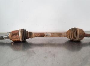 Drive Shaft RENAULT MASTER III Platform/Chassis (EV, HV, UV), RENAULT MASTER III Van (FV)