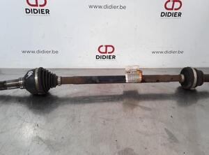 Drive Shaft JAGUAR F-PACE (X761)