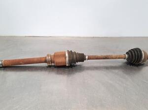 Drive Shaft RENAULT KANGOO Express (FW0/1_)