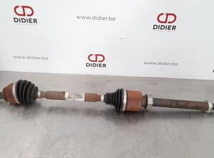 Drive Shaft RENAULT SCÉNIC IV (J9_)