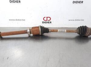 Drive Shaft RENAULT KANGOO Express (FW0/1_)