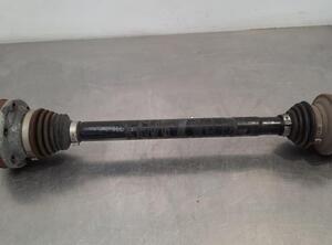 Drive Shaft AUDI A6 Avant (4G5, 4GD, C7)