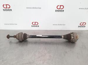 Drive Shaft AUDI A4 Allroad B9 (8WH, 8WJ)