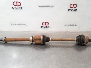 Drive Shaft RENAULT KANGOO Express (FW0/1_)