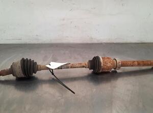 Drive Shaft RENAULT KANGOO Express (FW0/1_)