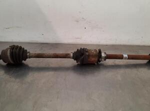 Drive Shaft FIAT DOBLO Cargo (263_), FIAT DOBLO MPV (263_), FIAT DOBLO Platform/Chassis (263_)