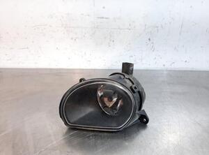 Fog Light AUDI Q7 (4LB), AUDI Q7 Van (4LB), AUDI Q7 (4MB, 4MG)