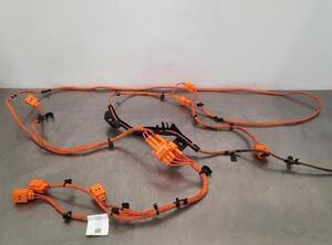 Wiring Harness CUPRA BORN (K11)