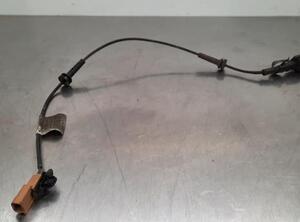 Wiring Harness RENAULT MASTER III Van (FV)