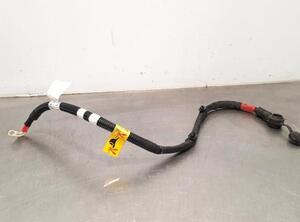 Wiring Harness FIAT 500e (332_), FIAT 500e Convertible (332_)