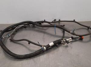 Wiring Harness RENAULT MASTER III Van (FV)