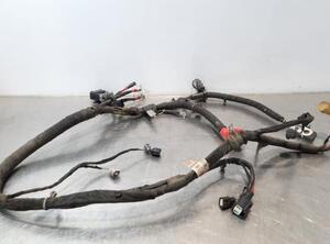 Wiring Harness FORD USA MUSTANG Coupe