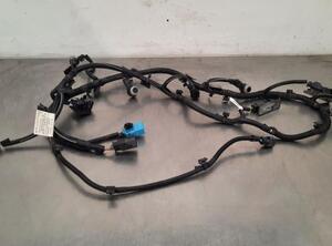 Wiring Harness OPEL CORSA F (P2JO)