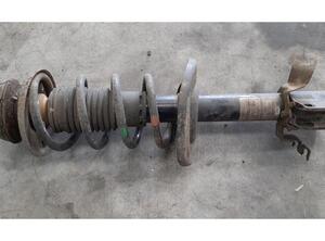 Shock Absorber DACIA DUSTER (HS_), DACIA LODGY (JS_)