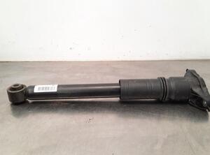 Shock Absorber DS DS 3 / DS 3 CROSSBACK (UR_, UC_, UJ_)