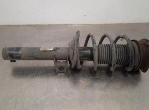 Shock Absorber SKODA KODIAQ (NS7, NV7, NS6)