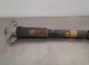 Shock Absorber TOYOTA RAV 4 V (_A5_, _H5_)