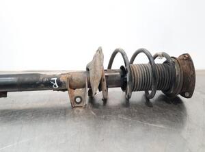 Shock Absorber AUDI A3 Convertible (8V7, 8VE)