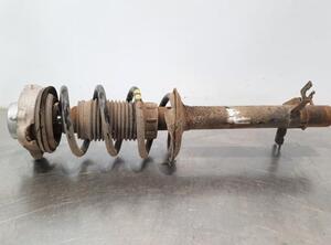 Shock Absorber CITROËN JUMPER Van, FIAT DUCATO Van (250_, 290_), FIAT DUCATO Bus (250_, 290_), PEUGEOT BOXER Van