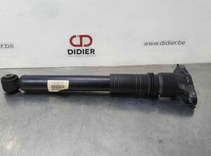 Shock Absorber CITROËN C4 III (BA_, BB_, BC_)