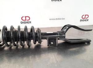 Shock Absorber TESLA MODEL 3 (5YJ3)