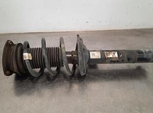 Shock Absorber VW TOURAN (5T1)