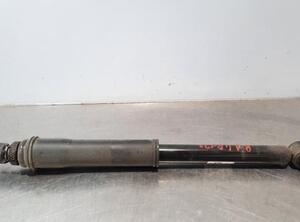 Shock Absorber HYUNDAI i10 III (AC3, AI3)