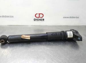 Shock Absorber CITROËN C4 III (BA_, BB_, BC_)