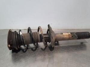 Shock Absorber VW PASSAT B8 Variant (3G5, CB5), VW PASSAT (3G2, CB2)