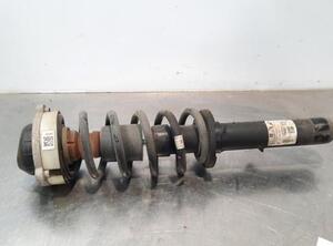 Shock Absorber AUDI Q5 (FYB, FYG)