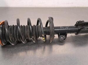 Shock Absorber FIAT 500X (334_)