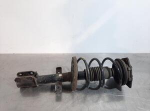 Shock Absorber RENAULT CLIO III (BR0/1, CR0/1)