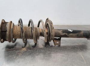 Shock Absorber SKODA OCTAVIA III Combi (5E5, 5E6)