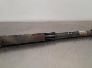 Shock Absorber VW T-CROSS (C11_)