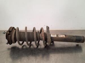 Shock Absorber VW TIGUAN (5N_), VW TIGUAN VAN (5N_)