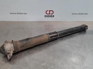 Shock Absorber VW TIGUAN (AD1, AX1), VW TIGUAN ALLSPACE (BW2)