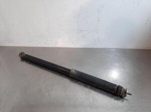 Shock Absorber SUZUKI VITARA (LY)