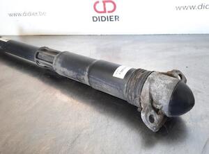 Shock Absorber VW TOURAN (5T1)