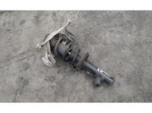 Shock Absorber AUDI A5 Sportback (8TA), AUDI A4 Avant (8K5, B8)