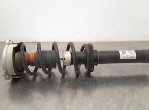 Shock Absorber AUDI A4 (8K2, B8), AUDI A4 (8W2, 8WC, B9)