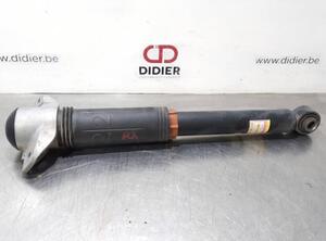 Shock Absorber TOYOTA RAV 4 V (_A5_, _H5_)