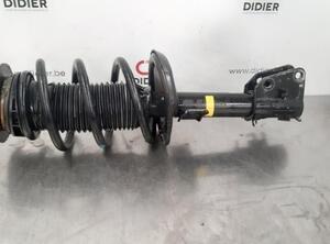 Shock Absorber RENAULT MASTER III Van (FV)