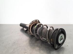 Shock Absorber VW POLO (AW1, BZ1)