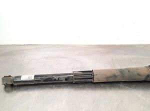 Shock Absorber SKODA KAMIQ (NW4)