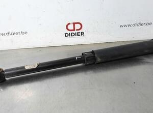 Shock Absorber FORD FIESTA VII (HJ, HF)