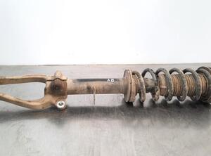 Shock Absorber BMW 6 Gran Turismo (G32)