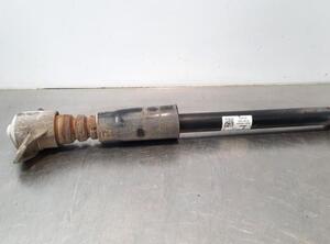 Shock Absorber AUDI A4 Avant (8W5, 8WD, B9)