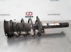 Shock Absorber VW GOLF VIII (CD1)